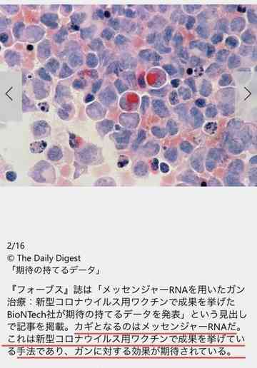 君ワクチンで死にたまふことなかれ386 Ethnic0229のごはん日記