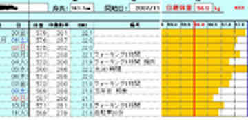 ダイエット用体重管理表 Excel Auntyryokoのごはん日記