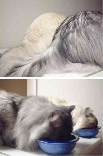 みさよのごはん日記 クックパッド 簡単おいしいみんなのレシピが353万品