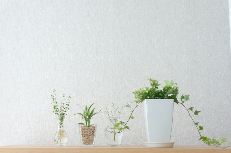 空気清浄効果が高いキッチン たのしいキッチンmag By Cookpad 理想を叶えるキッチンと住宅 リノベーションのウェブマガジン