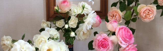 きゃすみん のキッチン クックパッド 簡単おいしいみんなのレシピが356万品