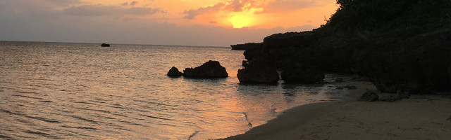 ニラコのキッチン クックパッド 簡単おいしいみんなのレシピが350万品