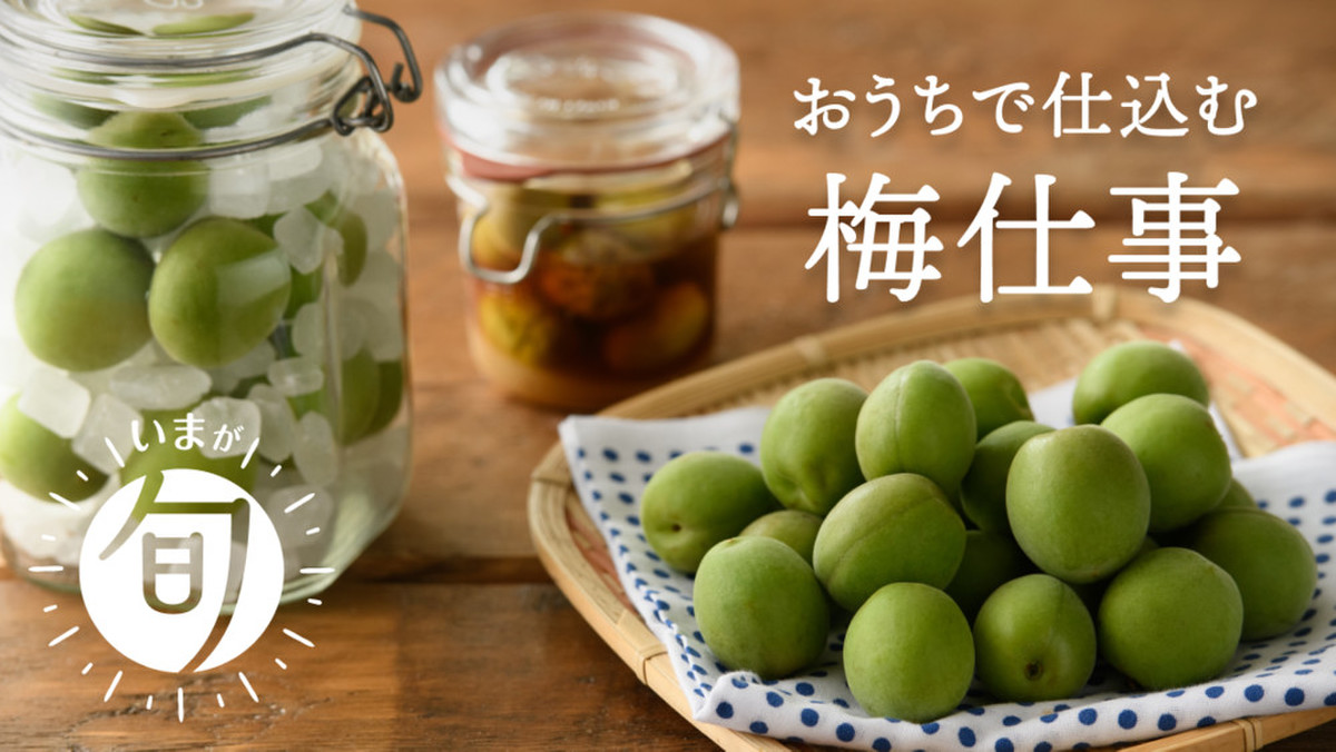 梅仕事♪ 限定「木成り完熟梅」も | クックパッドマート - 毎日
