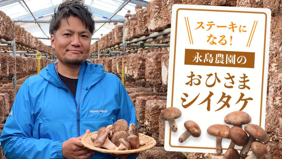 プリッ じゅわ 感動 生シイタケ クックパッドマート 毎日が楽しみになる お買いもの