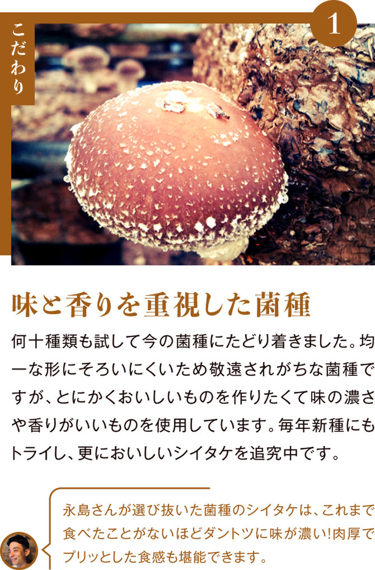 プリッ じゅわ 感動 生シイタケ クックパッドマート 毎日が楽しみになる お買いもの