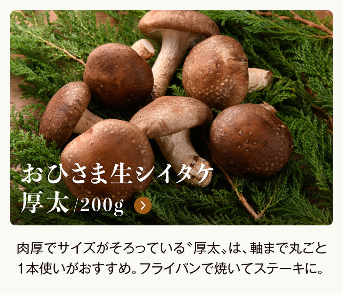 プリッ じゅわ 感動 生シイタケ クックパッドマート 毎日が楽しみになる お買いもの