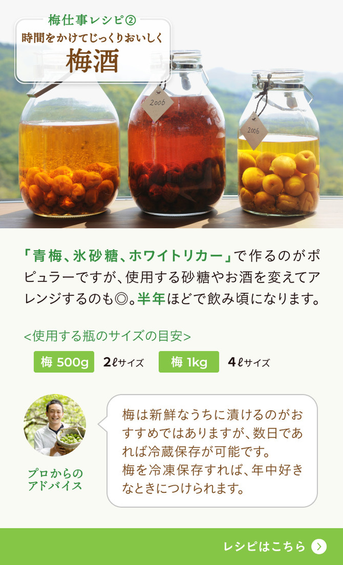 梅仕事 限定 木成り完熟梅 も クックパッドマート 毎日が楽しみになる 食材店