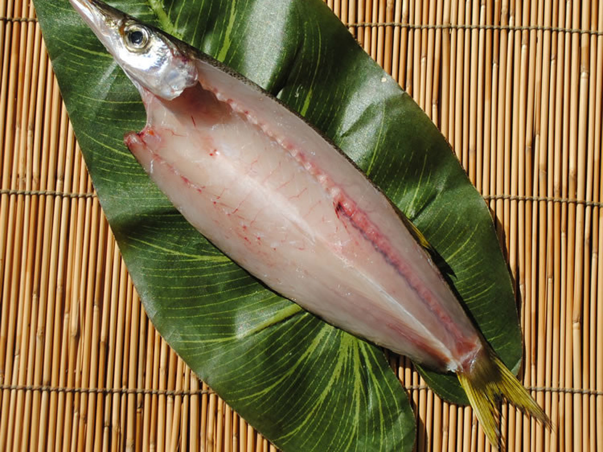 相模湾産 本かます干物 1枚 正式名称は赤カマス クックパッドマート 毎日が楽しみになる お買いもの