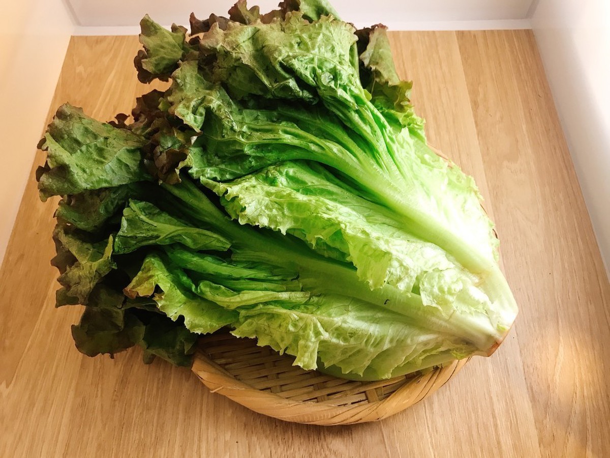 サニーレタス クックパッドマート 毎日が楽しみになる お買いもの