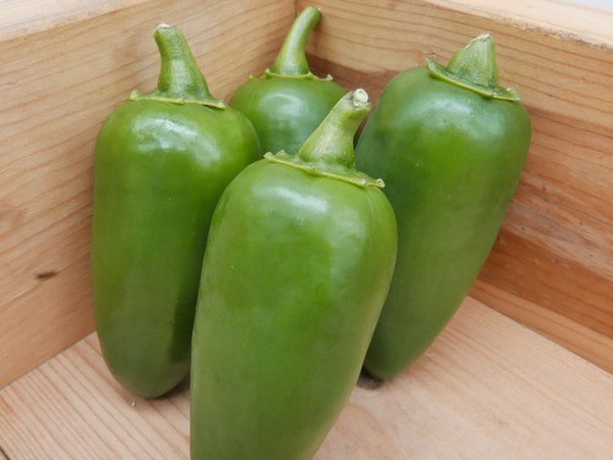 新東京野菜 西洋唐辛子 ハラペーニョ １００ｇ クックパッドマート 毎日が楽しみになる お買いもの