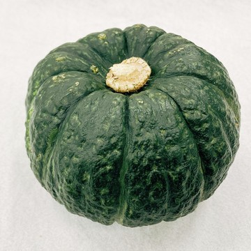 店舗日替わり 4周年特別sale クックパッドマート 毎日が楽しみになる お買いもの