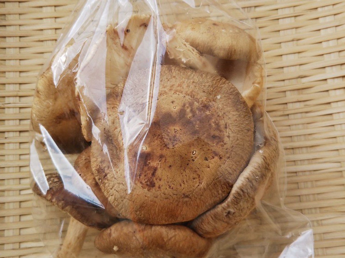 生椎茸 菌床 クックパッドマート 毎日が楽しみになる お買いもの