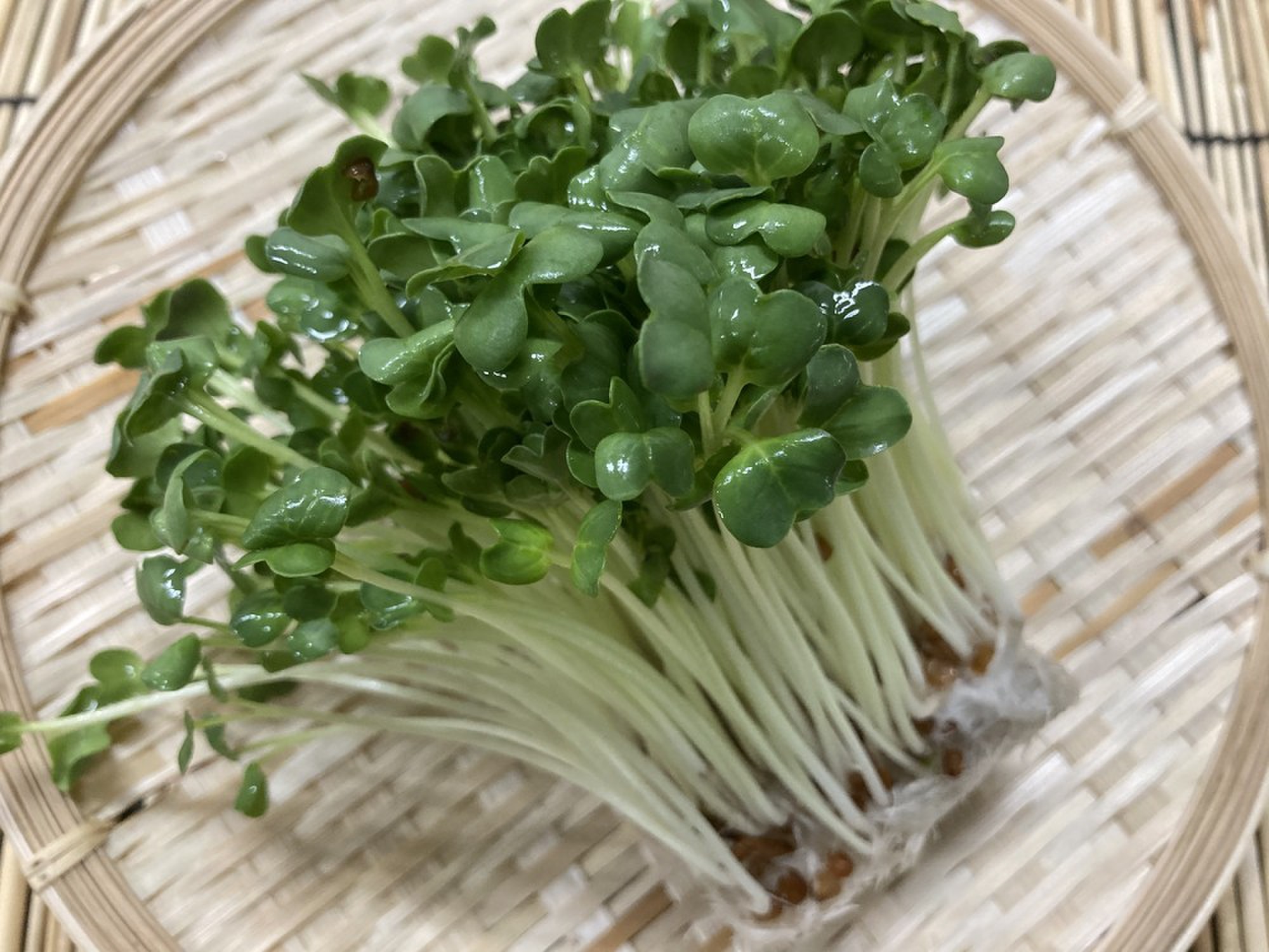 かいわれ大根 クックパッドマート 毎日が楽しみになる お買いもの