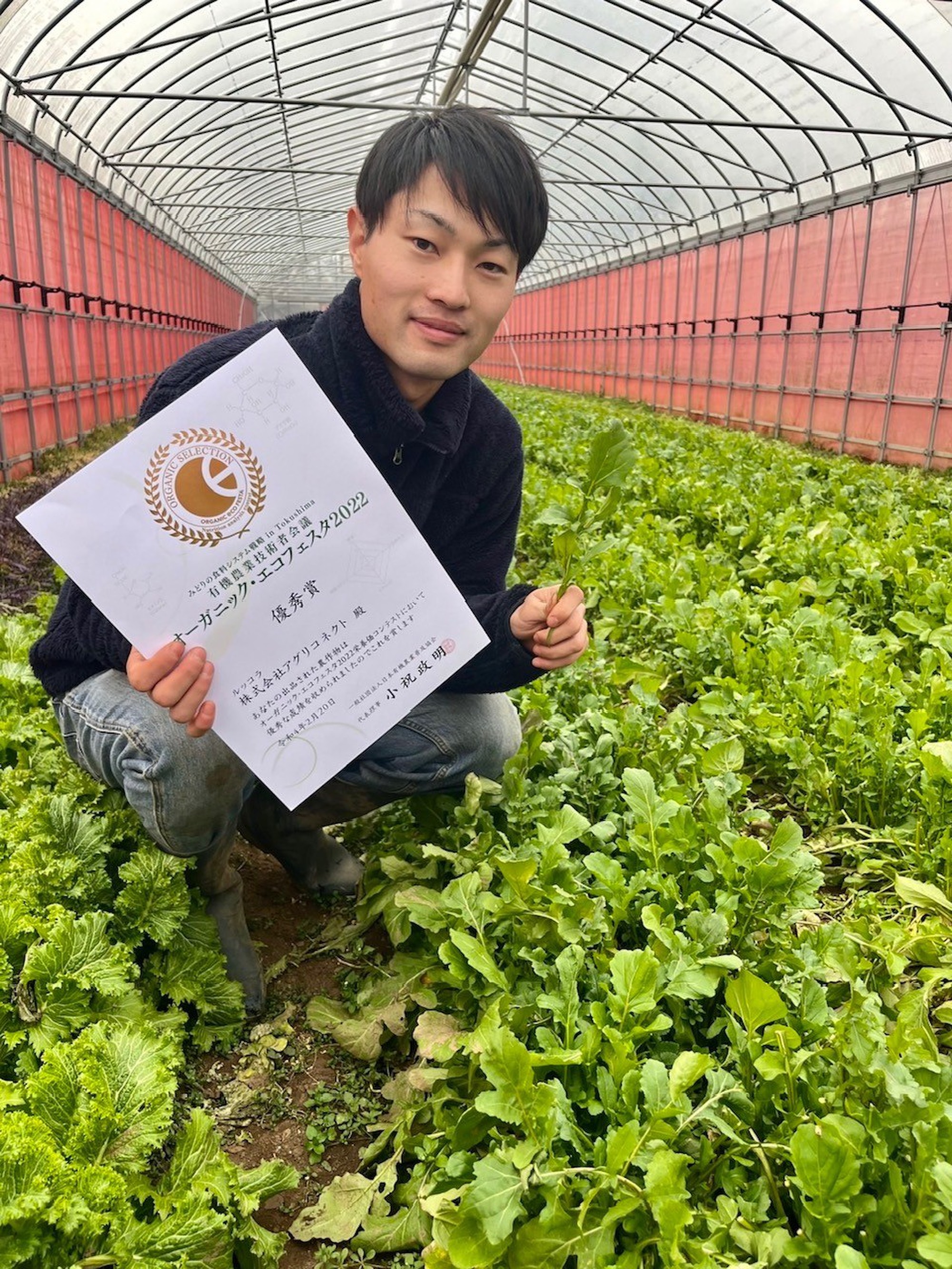 自社農場 土耕ルッコラ 栽培期間中農薬不使用 クックパッドマート 毎日が楽しみになる 食材店