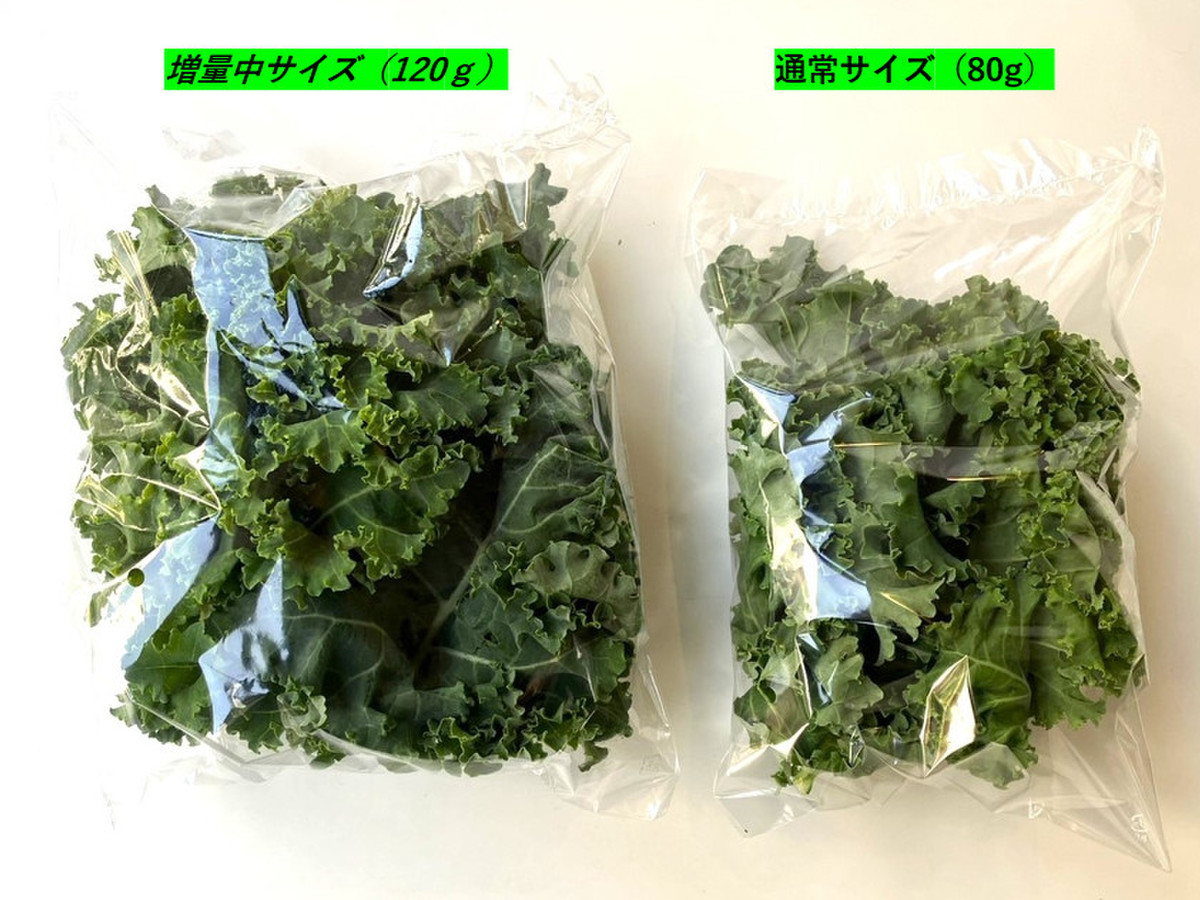 野菜計画 自社農場 ケール 栽培期間中農薬不使用 クックパッドマート 毎日が楽しみになる お買いもの