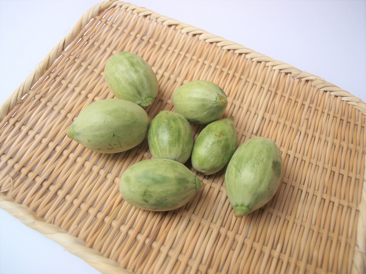 摘果メロン 入荷不安定 クックパッドマート 毎日が楽しみになる お買いもの