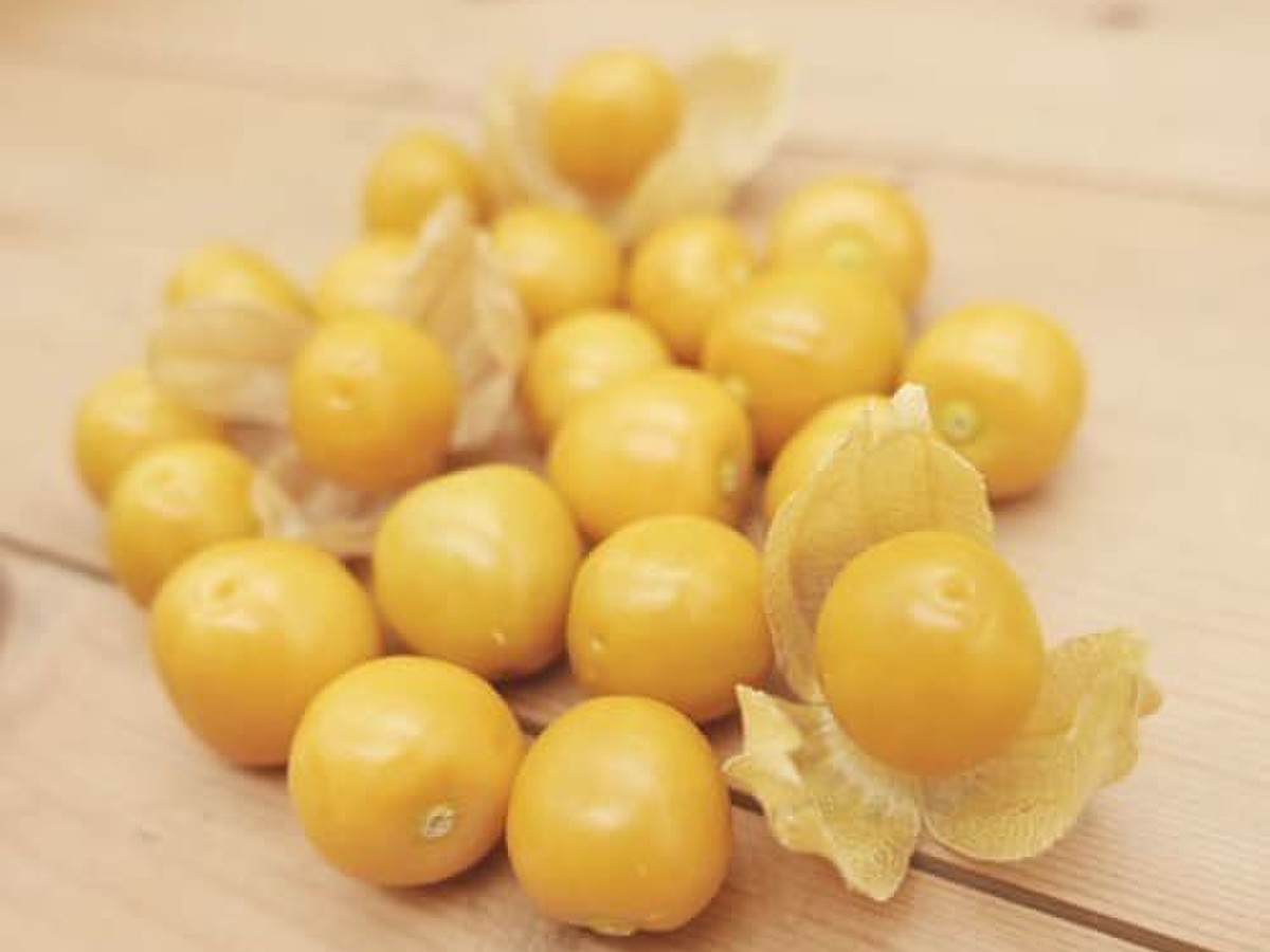 秋のフルーツほおずき 太陽の子 100g クックパッドマート 毎日が楽しみになる 食材店