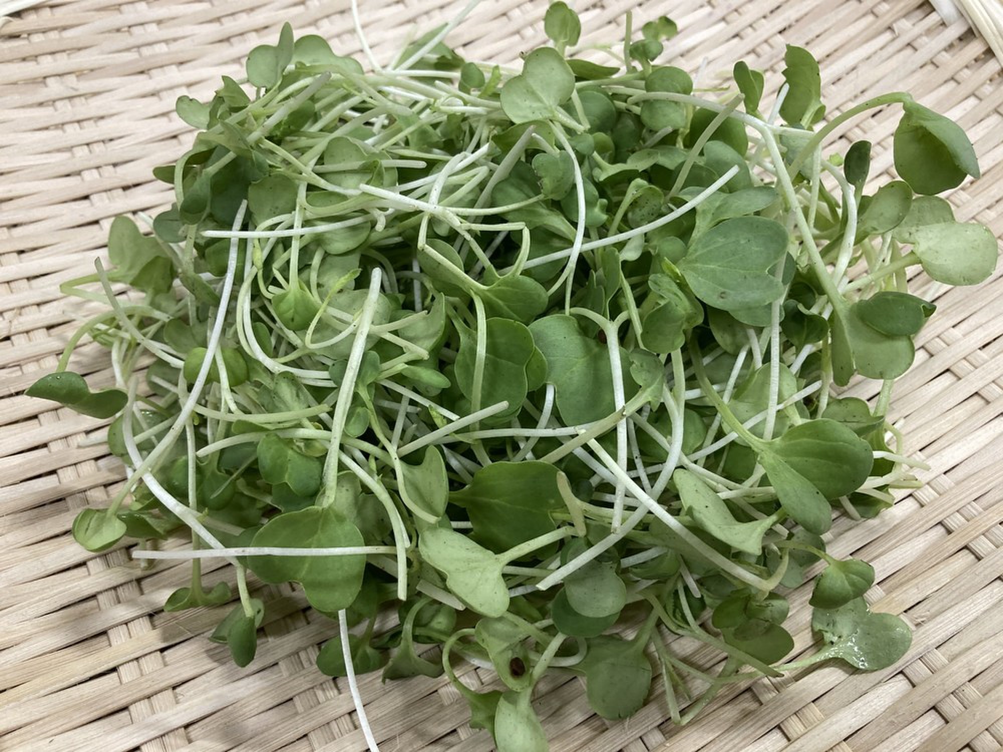 つまみ菜 クックパッドマート 毎日が楽しみになる 食材店 つまみ菜 クックパッドマート 毎日が楽しみになる 食材店