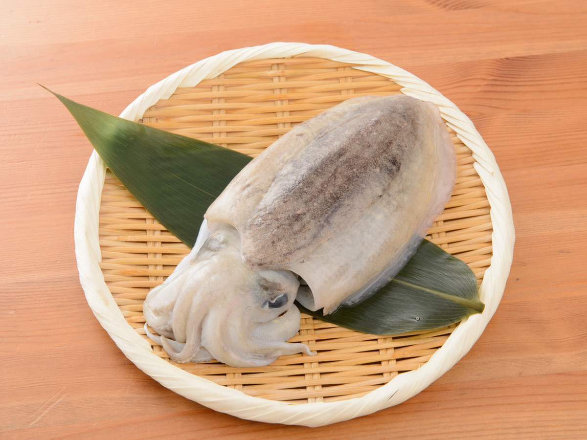 天然スミイカ 生食用 クックパッドマート 毎日が楽しみになる 食材店