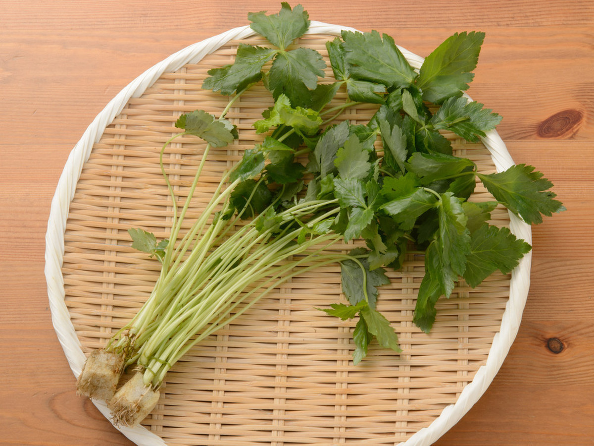 糸みつ葉 クックパッドマート 毎日が楽しみになる お買いもの