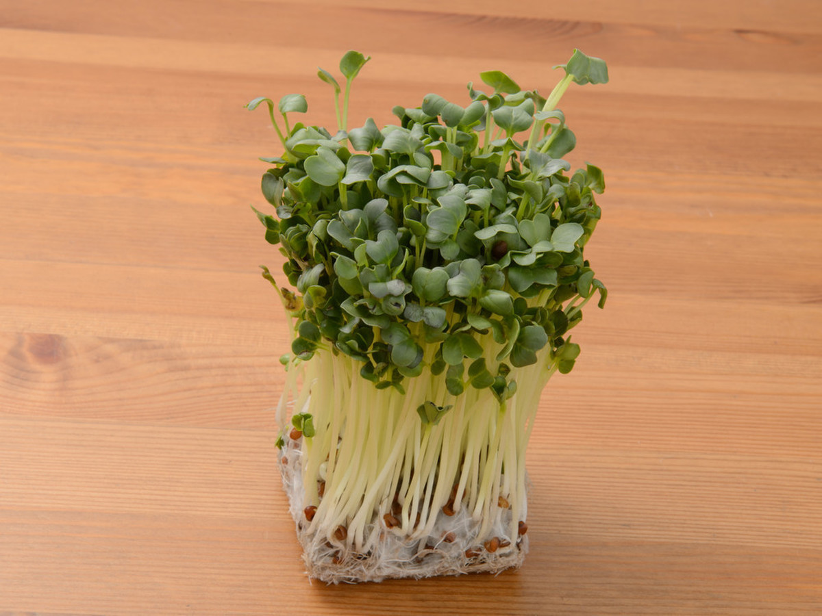 貝割れ大根 クックパッドマート 毎日が楽しみになる お買いもの