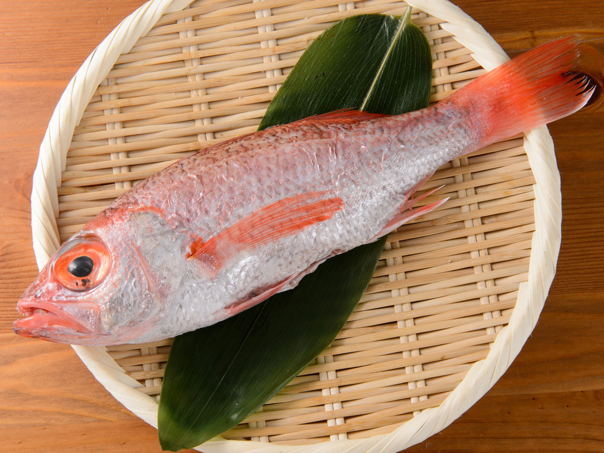 鮮魚卸「ムラマツ」おまかせ丸魚C(内臓、鱗とり)1〜2尾  クックパッド 