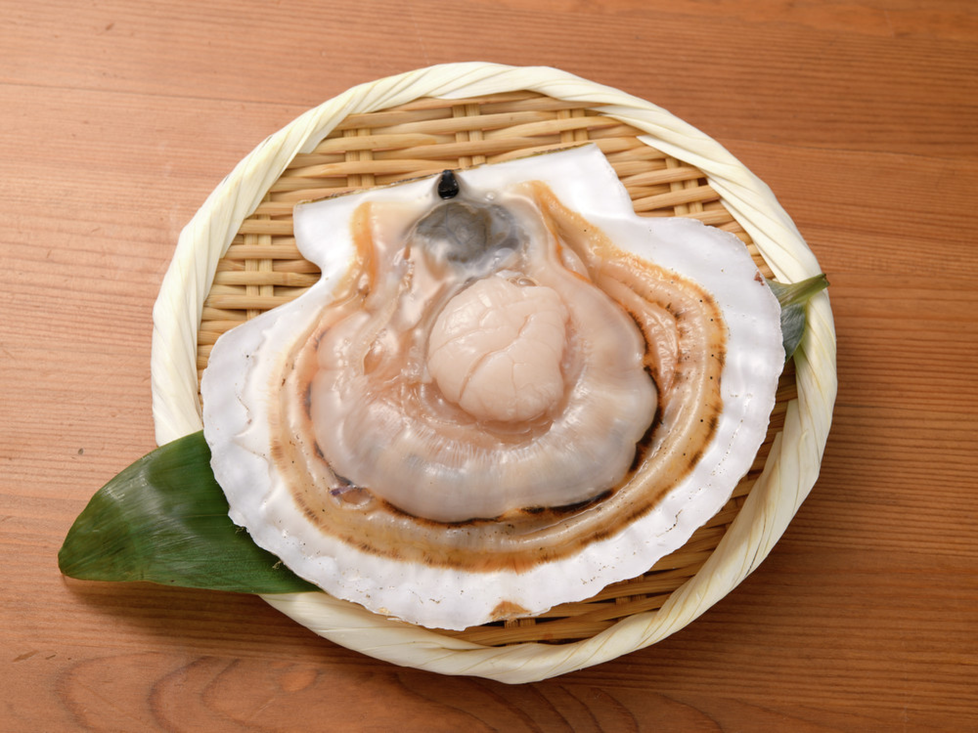 北海道産 天然殻付き帆立 大 1枚 生食用 クックパッドマート 毎日が楽しみになる 食材店 北海道産 天然殻付き帆立 大 1枚 生食用 クックパッドマート 毎日が楽しみになる 食材店