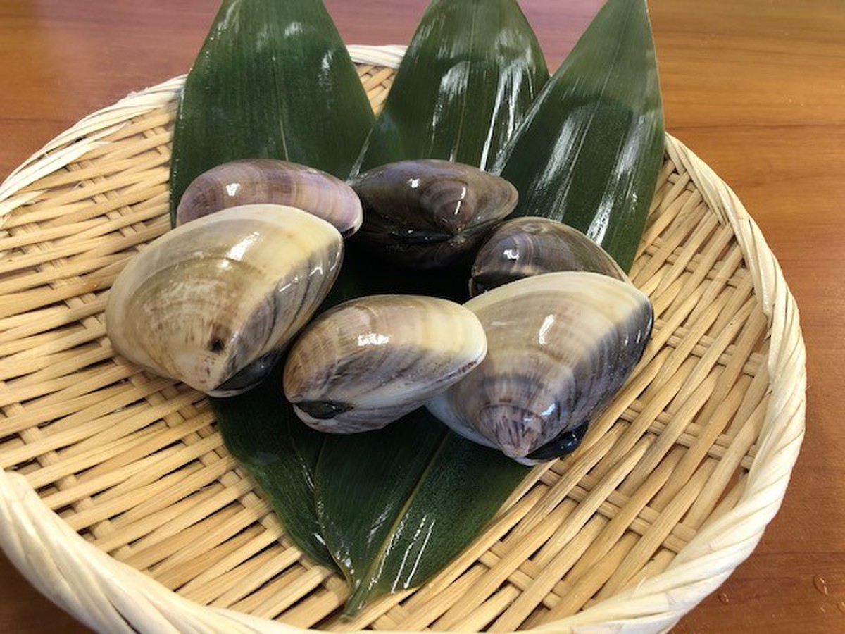 国産九十九里産前浜特撰はまぐり 生食用 クックパッドマート 毎日が楽しみになる 食材店