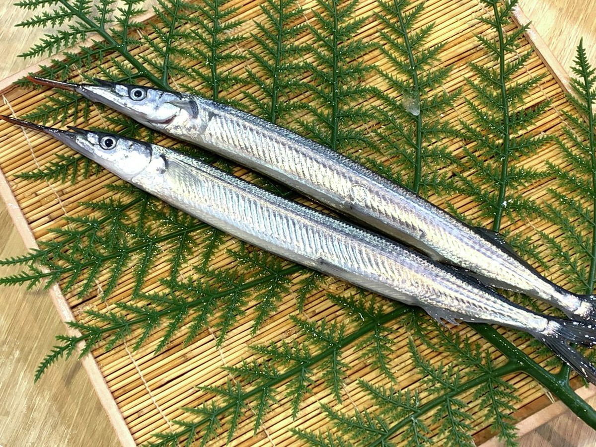 細魚 サヨリ 2尾 生食用 クックパッドマート 毎日が楽しみになる 食材店 細魚 サヨリ 2尾 生食用 クックパッドマート 毎日が楽しみになる 食材店