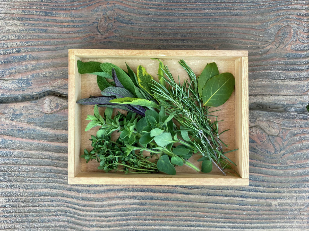 有機ハーブ の 季節のブーケガルニセット 東京産 クックパッドマート 毎日が楽しみになる お買いもの