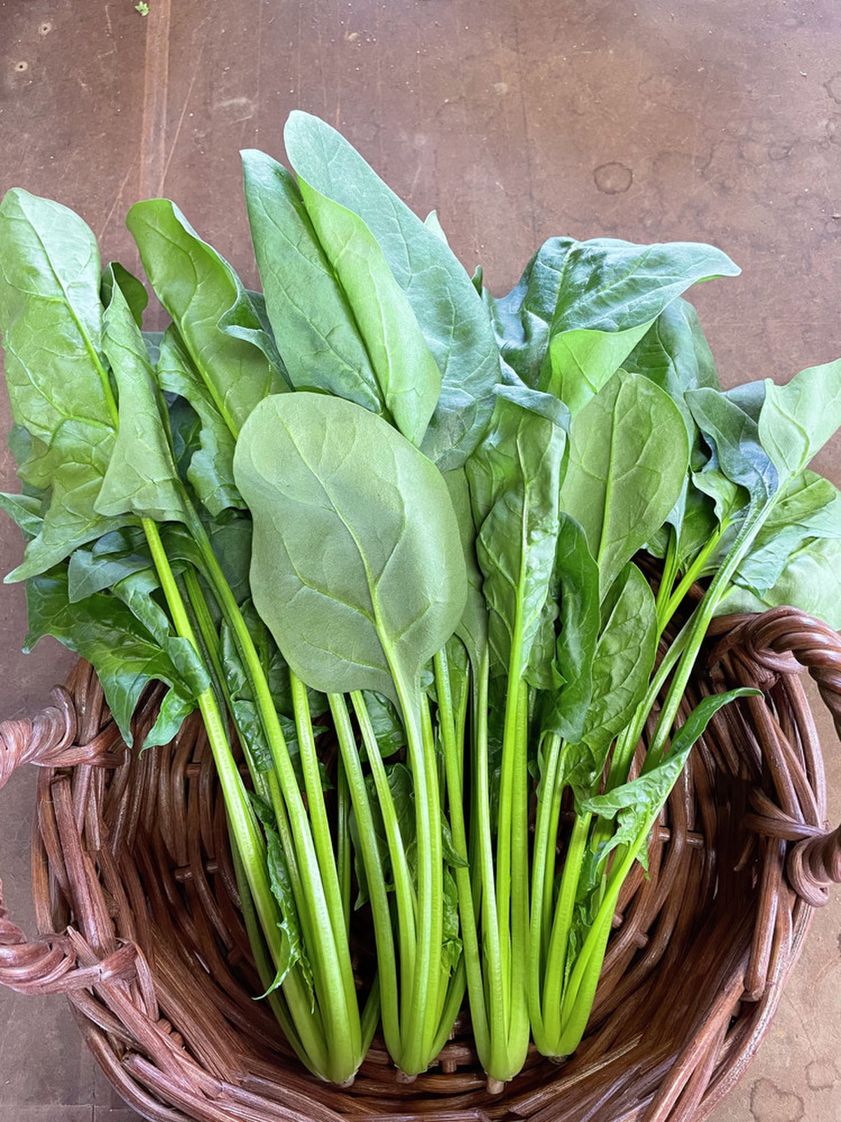 畑から直送 ボヌスファーム規格外ジャンボほうれん草 クックパッドマート 毎日が楽しみになる 食材店