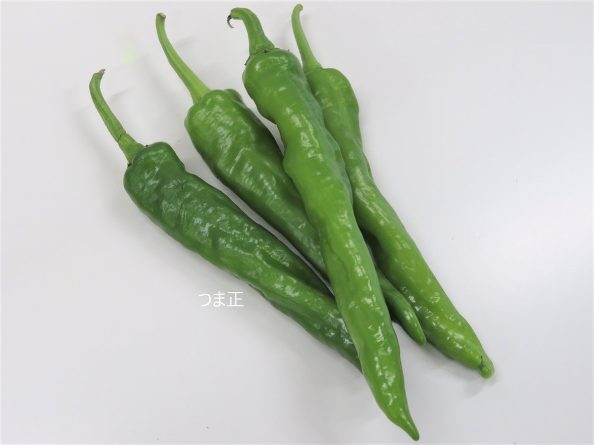 やさしい風味の 土佐甘とう クックパッドマート 毎日が楽しみになる 食材店