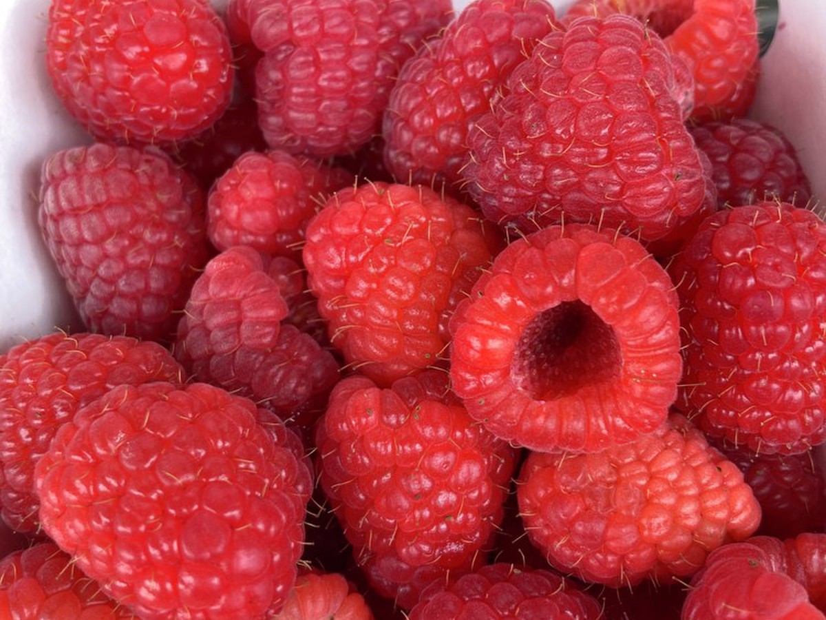ラズベリー170g クックパッドマート 毎日が楽しみになる お買いもの