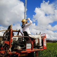 お茶の碧里園 クックパッドマート 毎日が楽しみになる お買いもの