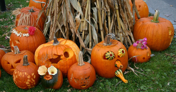 最初は かぶ だった ハロウィンにかぼちゃが登場する理由とは クックパッドニュース