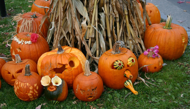 インパクト抜群／送料無料「ハロウィン用に 3Lサイズ 巨大な本物