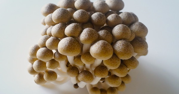 【秋の味覚】「しめじ」のおいしい健康レシピ3選 | クックパッドニュース