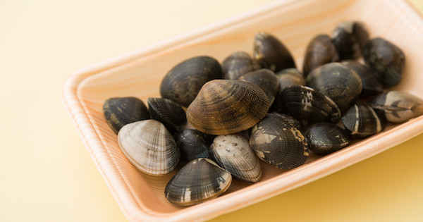 裏ワザ あさりの砂抜きは ぬるま湯 でアッという間だった クックパッドニュース