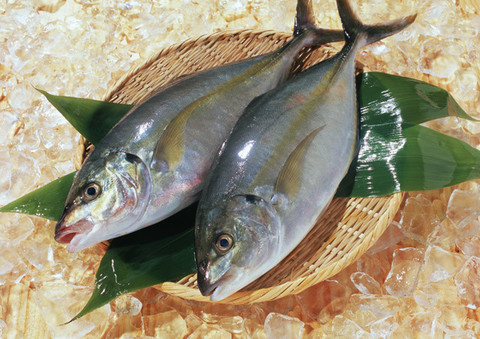スーパーの魚はすべて食べつくした 魚のエキスパート さかなクンが教える絶品レシピ あさイチ から クックパッドニュース スーパーの魚はすべて食べつくした 魚のエキスパート さかなクンが教える絶品レシピ あさイチ から クックパッドニュース