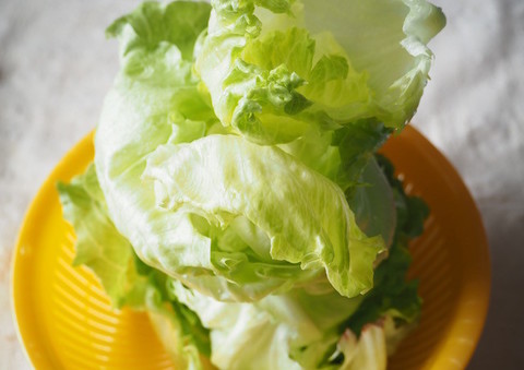 裏ワザ レタスの葉が取りづらいときは 芯抜き 水道水 で解決 クックパッドニュース 裏ワザ レタスの葉が取りづらいときは 芯抜き 水道水 で解決 クックパッドニュース