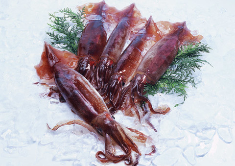 ワタまで愛して 旬の スルメイカ を一杯まるごといただきましょ クックパッドニュース ワタまで愛して 旬の スルメイカ を一杯まるごといただきましょ クックパッドニュース