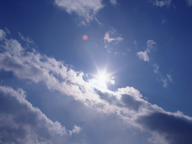 タコ?冬瓜?それとも、恋をする!? 6月21日は夏至
