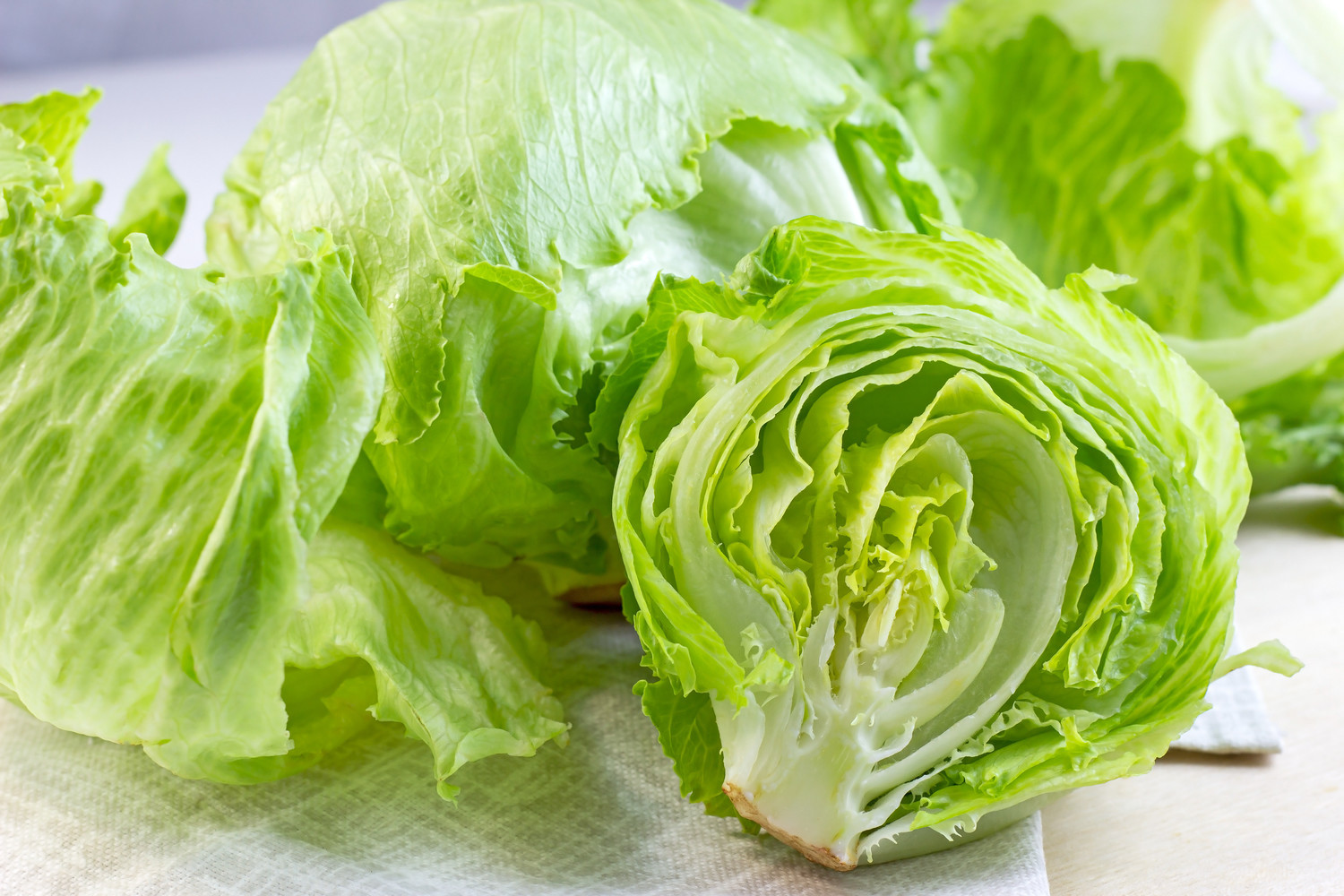 必見!レタスを10倍おいしくするちぎり方とは?
