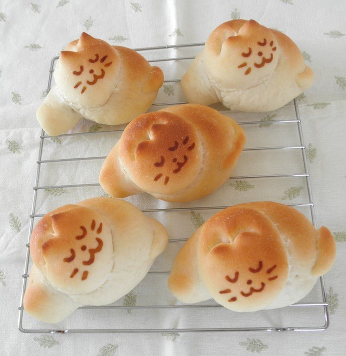 やっぱりみんな猫が好き！丸まって眠る「にゃんこパン」がアツい