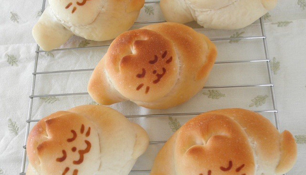 やっぱりみんな猫が好き！丸まって眠る「にゃんこパン」がアツい