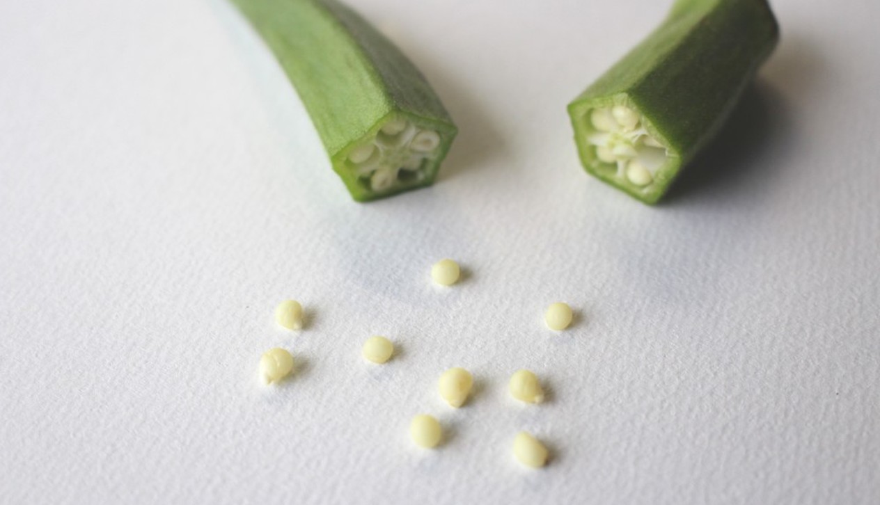 野菜の種 カスタム お好きな種類をご希望の量で