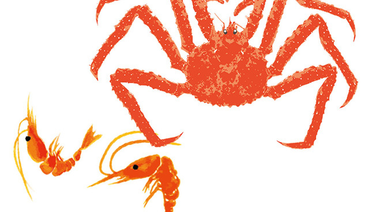 えびとカニ エビとカニの水族館 | 一般社団法人すさみ町観光協会