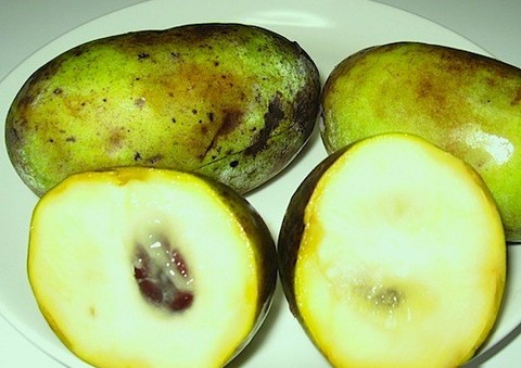 バナナ マンゴー 魅惑の新食感フルーツ ポポー が今話題です あさイチ から クックパッドニュース