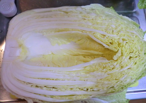 知らなかった 白菜は 内側から 食べると最後までおいしく味わえる クックパッドニュース 知らなかった 白菜は 内側から 食べると最後までおいしく味わえる クックパッドニュース