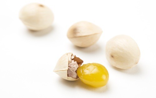 子どもに多い「ぎんなん食中毒」って知ってますか?